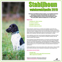 STABIJHOUN VALOKUVAKILPAILU 2019
